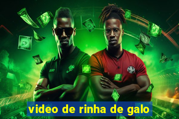 video de rinha de galo